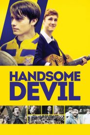 หล่อ ร้าย เพื่อนรัก Handsome Devil (2017)