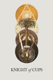 ผู้ชาย ความหมาย ความรัก Knight of Cups (2015)