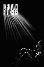 คราวน์ไฮตส์ Crown Heights (2017)