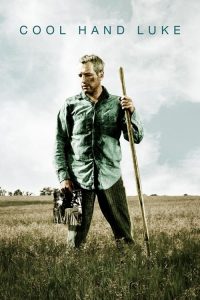 คนสู้คน Cool Hand Luke (1967)