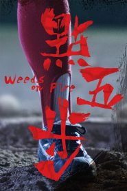 รวมใจสู้เพื่อฝัน Weeds on Fire (2016)