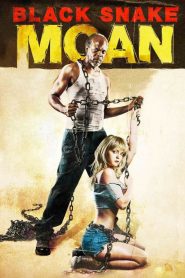 แรงรักดับราคะ Black Snake Moan (2006)