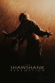 ชอว์แชงค์ มิตรภาพ ความหวัง ความรุนแรง The Shawshank Redemption (1994)