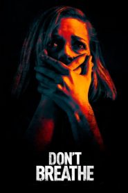 ลมหายใจสั่งตาย Don’t Breathe (2016)