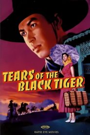 ฟ้าทะลายโจร Tears of the Black Tiger (2000)