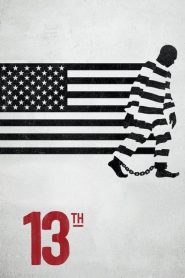 เดอะ เธอร์ทีน 13th (2016)