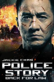 วิ่งสู้ฟัด 2013 ภาค 6 Police Story 2013 (2013)