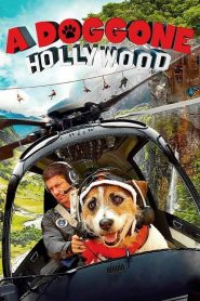 A Doggone Hollywood (2017)