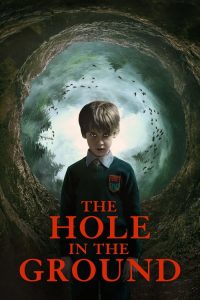 หลุมปริศนาซ่อนผวา The Hole in the Ground (2019)