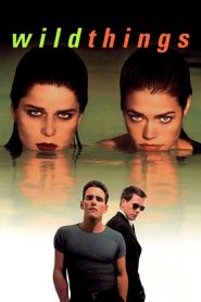เกมซ่อนกล Wild Things (1998)