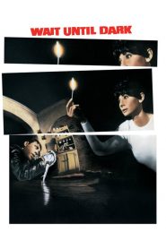 รอไว้ ค่อยๆเชือด Wait Until Dark (1967)