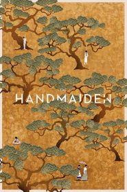 ล้วง เล่ห์ ลวง รัก The Handmaiden (2016)