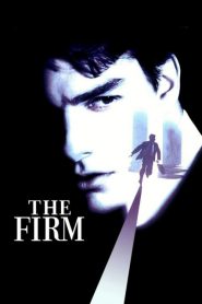 องค์กรซ่อนเงื่อน The Firm (1993)
