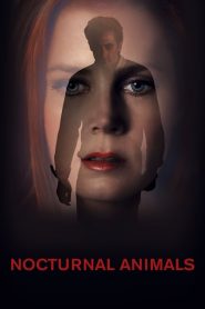 คืนทมิฬ Nocturnal Animals (2016)