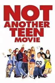 ไม่ไหวแล้ว หนังหยองๆ หวีดๆ Not Another Teen Movie (2001)