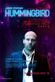 คนโคตรระห่ำ Hummingbird (2013)