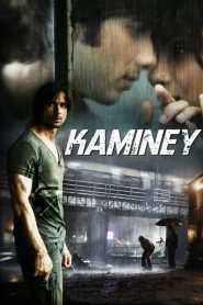 แผนดัดหลังคำสั่งฆ่า Kaminey (2009)