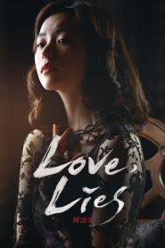 ยูยอนซอก ฮันฮโยจู ชอนอูฮี Love, Lies (2016)