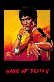 ไอ้หนุ่มซินตึ๊ง ระห่ำแตก Game of Death II (1981)