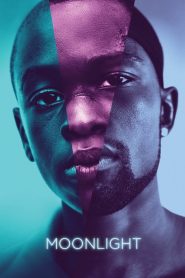 มูนไลท์ ใต้แสงจันทร์ ทุกคนฝันถึงความรัก Moonlight (2016)