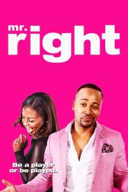 คู่มหาประลัย นักฆ่าเลิฟเลิฟ Mr. Right (2015)