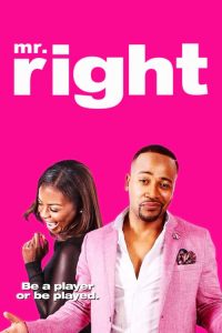 คู่มหาประลัย นักฆ่าเลิฟเลิฟ Mr. Right (2015)