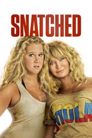 แม่…ลูก…ลุย Snatched (2017)