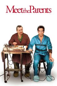 เขยซ่าส์ พ่อตาแสบส์ Meet the Parents (2000)