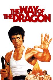 ไอ้หนุ่มซินตึ๊ง บุกกรุงโรม The Way of the Dragon (1972)