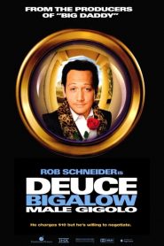 ดิวซ์ บิ๊กกะโล่ ไม่หล่อแต่เร้าใจ Deuce Bigalow: Male Gigolo (1999)