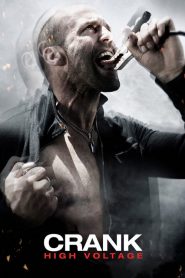 แครงก์ คนคลั่ง ไฟแรงสูง Crank: High Voltage (2009)