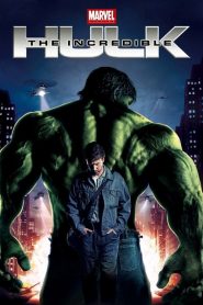 มนุษย์ตัวเขียวจอมพลัง 2 The Incredible Hulk (2008)