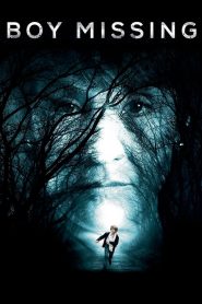 เด็กชายที่หายตัวไป Boy Missing (2016)