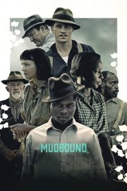 แผ่นดินเดียวกัน Mudbound (2017)
