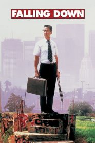 เมืองกดดัน ขอบ้าให้หายแค้น Falling Down (1993)