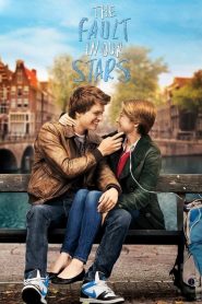 ดาวบันดาล The Fault in Our Stars (2014)