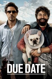 คู่แปลก ทริปป่วน ร่วมไปให้ทันคลอด Due Date (2010)