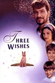 Three Wishes (1995)