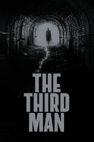 The Third Man (1949)