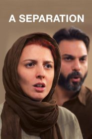 หนึ่งรักร้าง วันรักร้าว A Separation (2011)