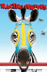 เรซซิ่ง สไตรพส์ ม้าลายหัวใจเร็วจี๊ดด… Racing Stripes (2005)