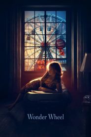 สวนสนุกแห่งรัก Wonder Wheel (2017)