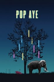 ป๊อปอาย มายเฟรนด์ Pop Aye (2017)