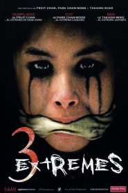อารมณ์ อาถรรพณ์ อาฆาต Three Extremes (2002)