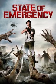 ฝ่าด่านนรกเมืองซอมบี้ State of Emergency (2011)