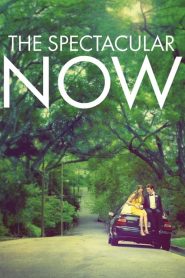 ใครสักคนบนโลกใบนี้ The Spectacular Now (2013)