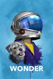 ชีวิตมหัศจรรย์วันเดอร์ Wonder (2017)