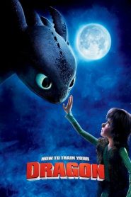 อภินิหารไวกิ้งพิชิตมังกร How to Train Your Dragon (2010)