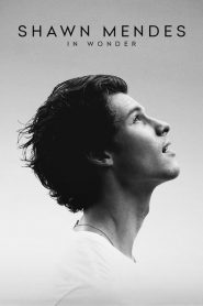 ชอว์น เมนเดส: ช่วงเวลามหัศจรรย์ Shawn Mendes: In Wonder (2020)