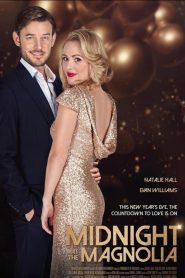 คืนแห่งรักที่แม็กโนเลีย Midnight at the Magnolia (2020)